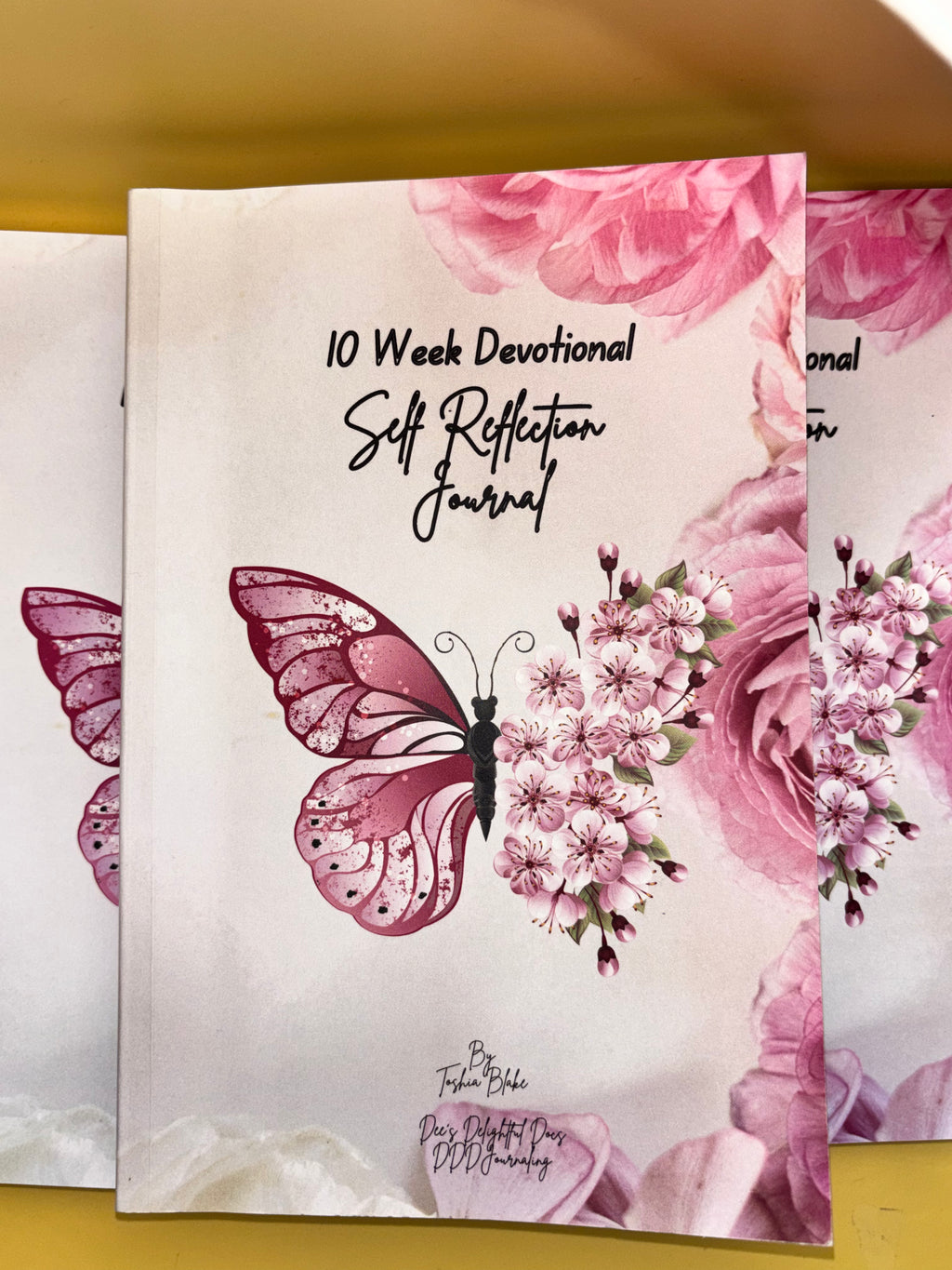 10 Quantity Bundle Set 10 Week Prayer Journal