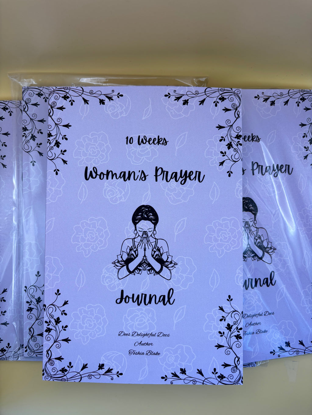 10 Quantity Bundle Set 10 Weeks Woman's Prayer Devotional (With a focus on women of the bible)
